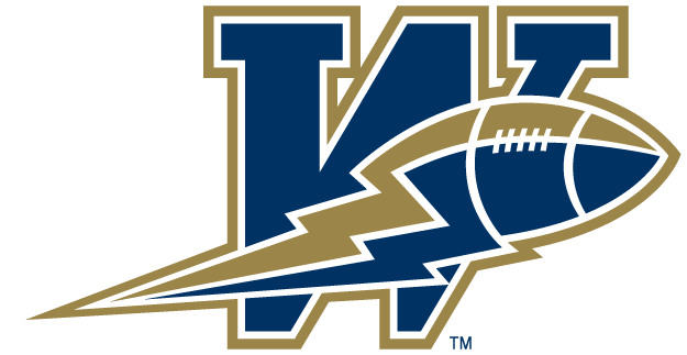 winnipeg blue bombers 2005-2011 primary logo iron on transfers for clothing